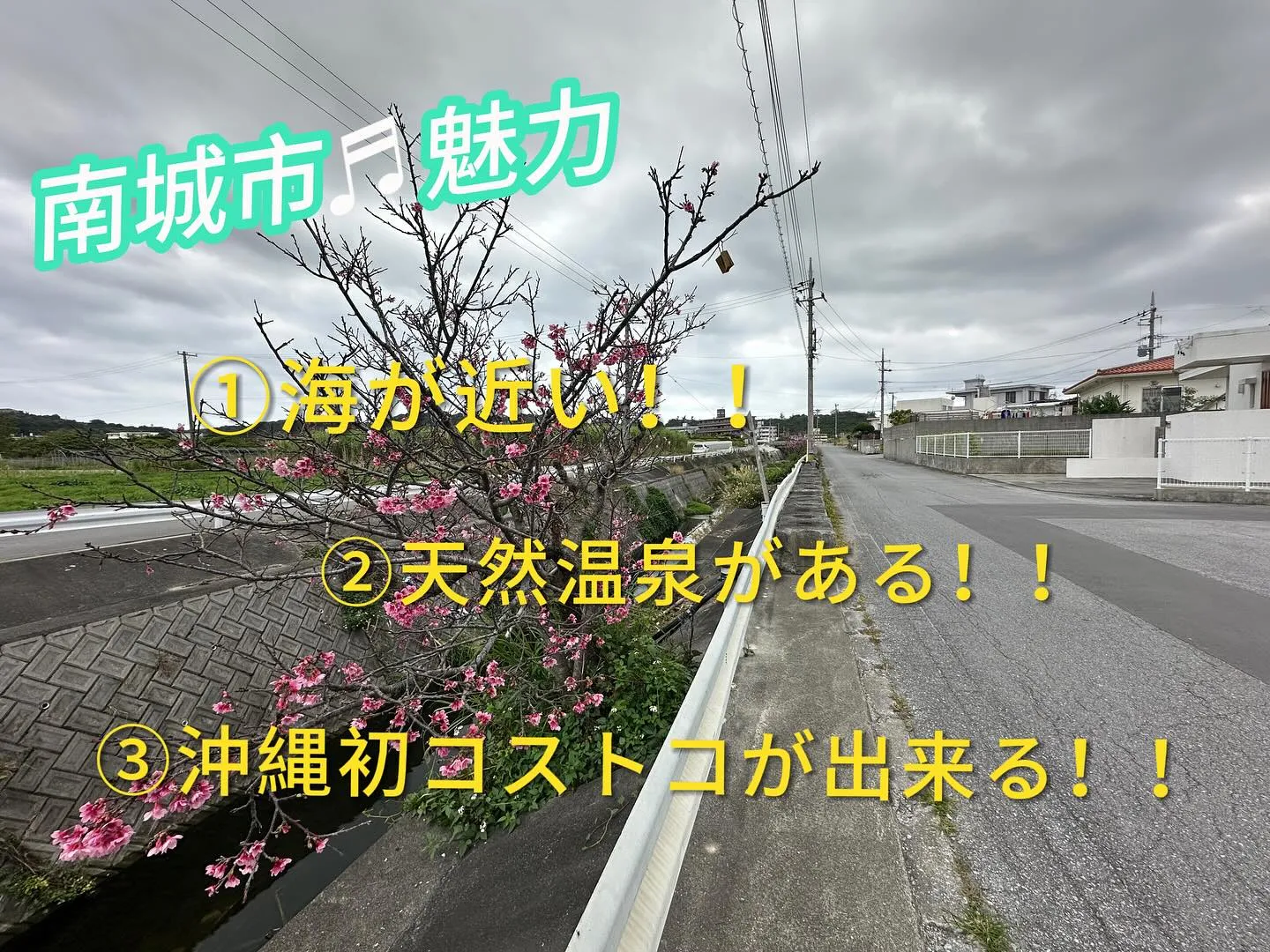 本日も、南城市玉城船越オープンハウスしております╰(*´︶`...