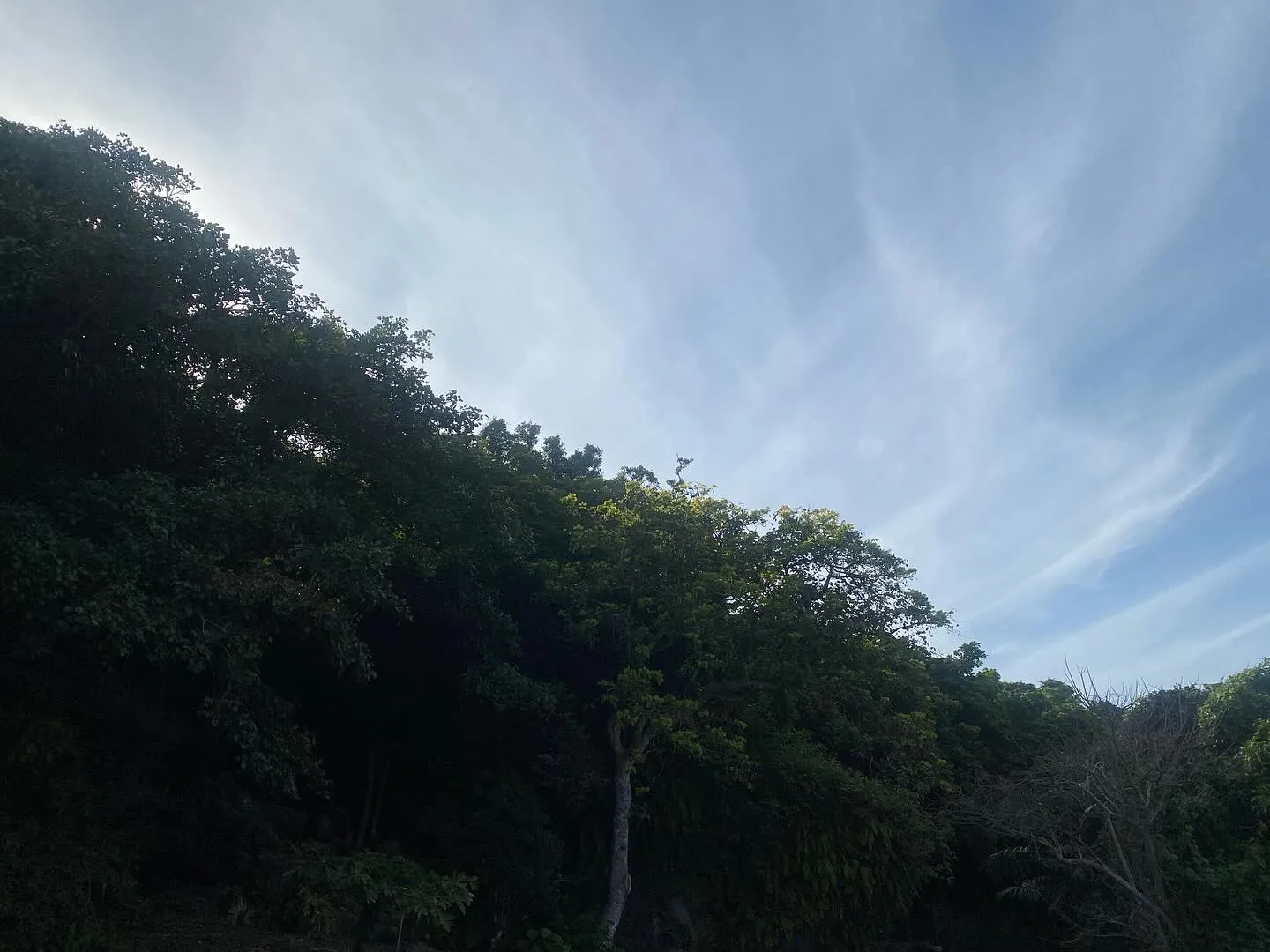 休日ご近所へランチに！