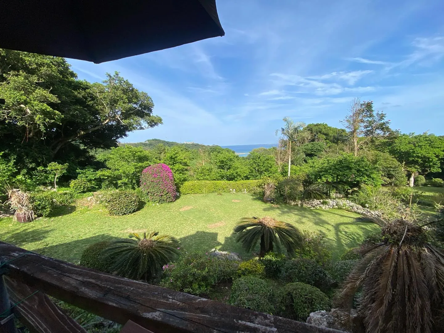 休日ご近所へランチに！