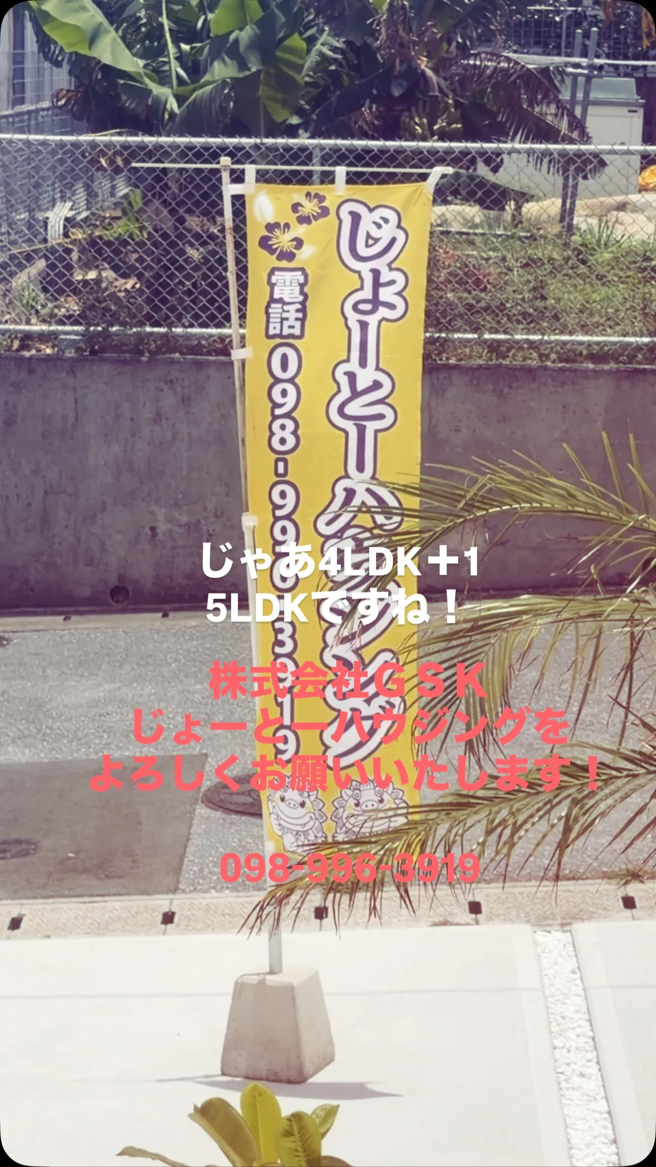 今日はうるま市江洲