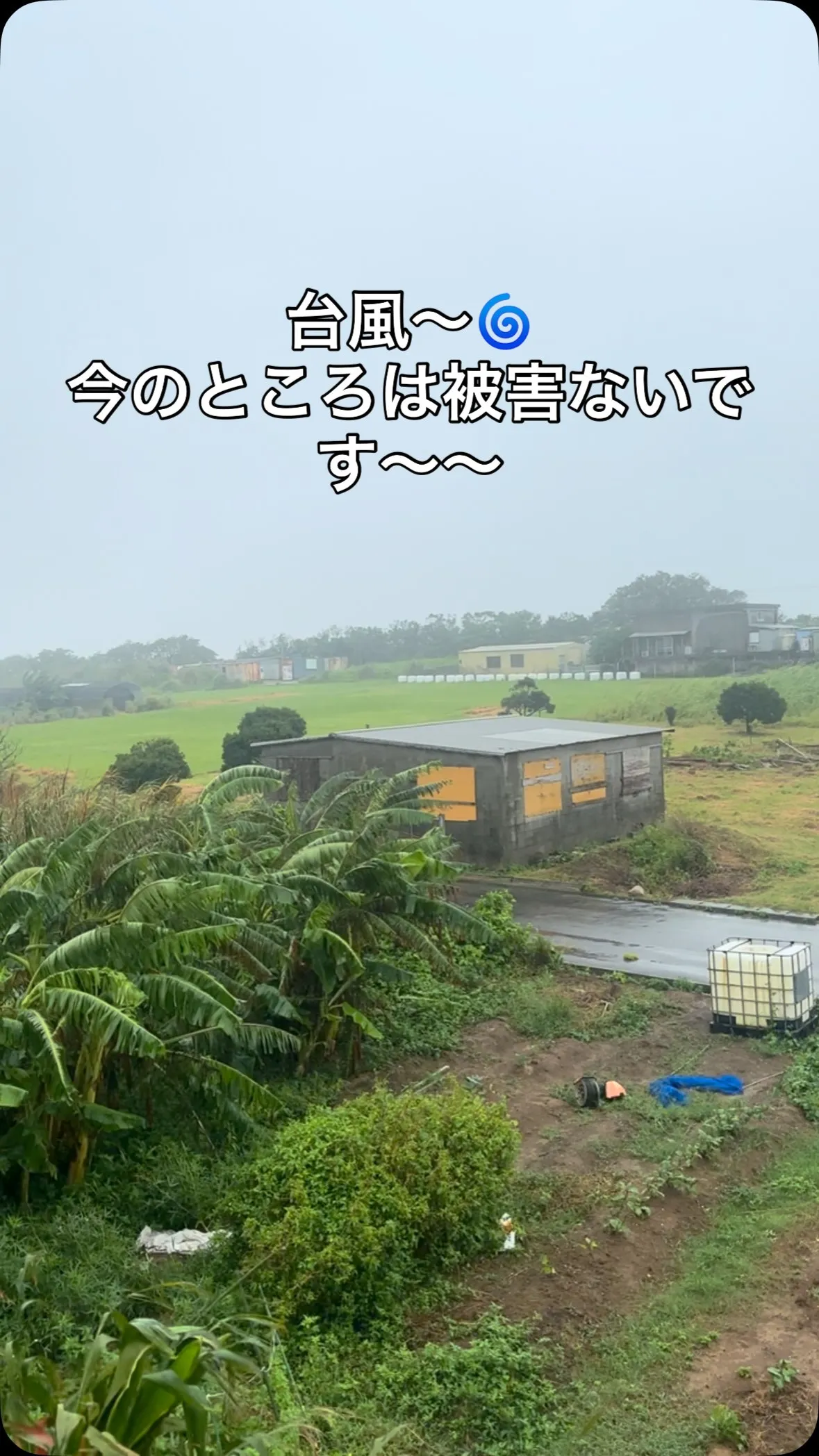 台風13号🌀