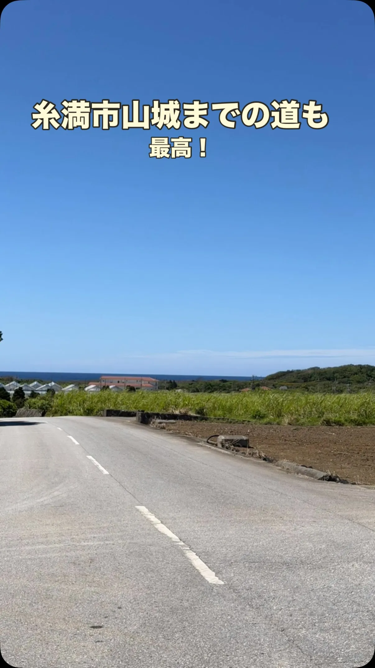 今日は気持ち良いですね！暑いですが…🫠