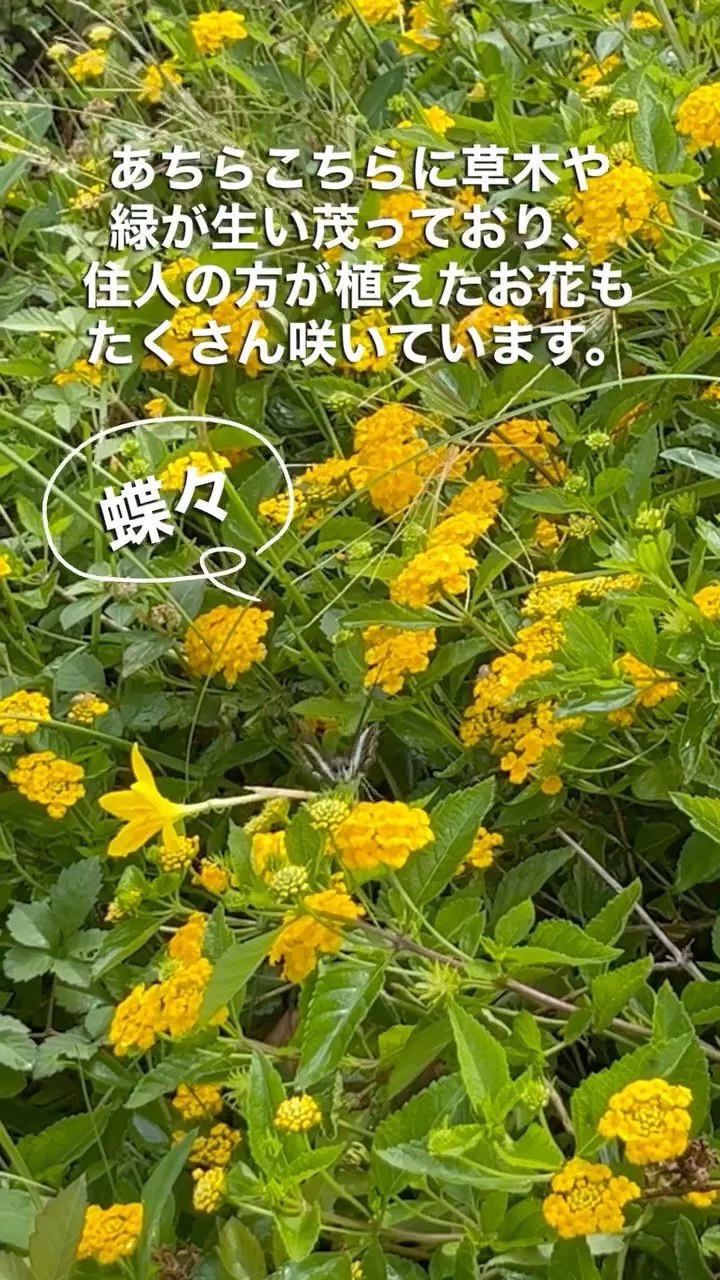 🏡 南城市玉城糸数｜新築建売住宅