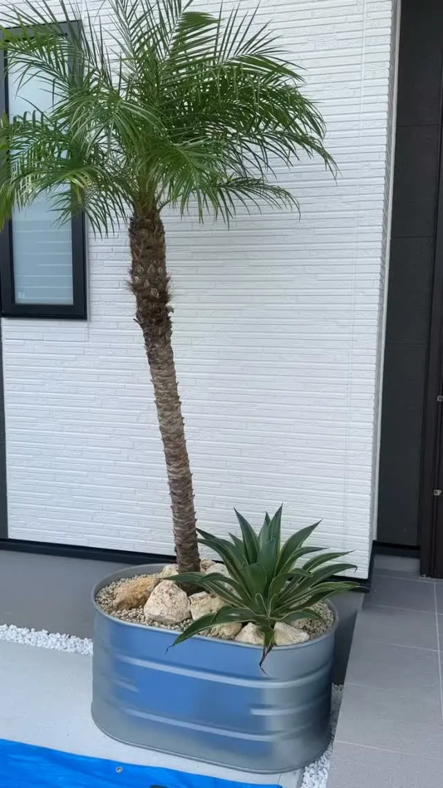 オープンハウス！